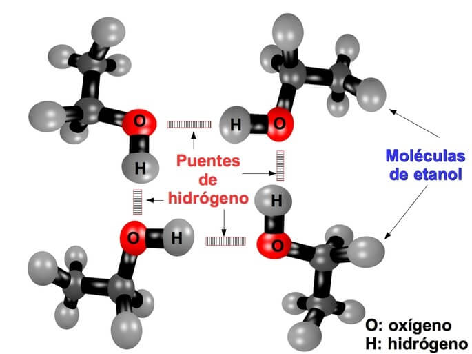 Puentes de Hidrógeno