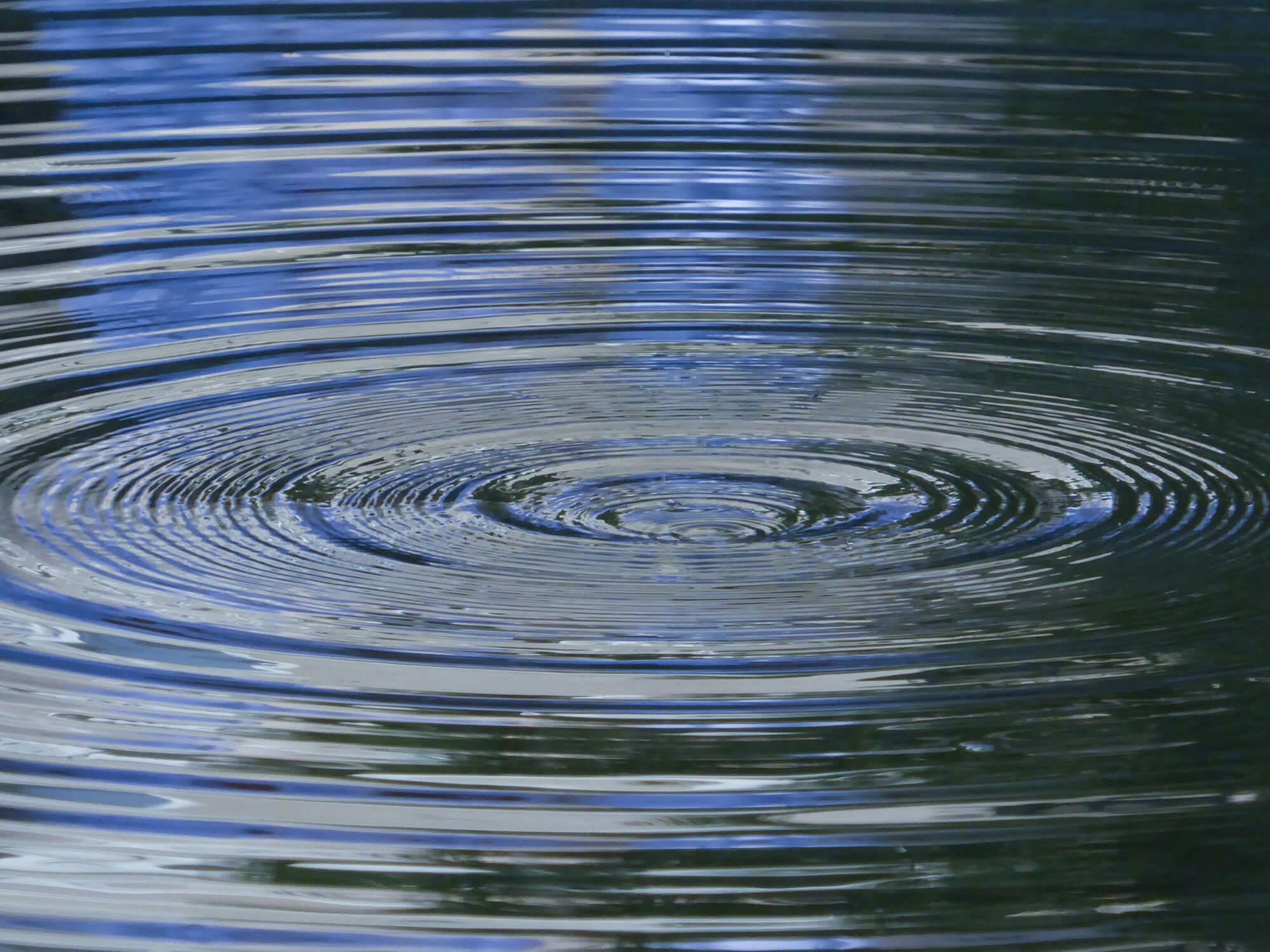 Ondas Mecánicas en el agua