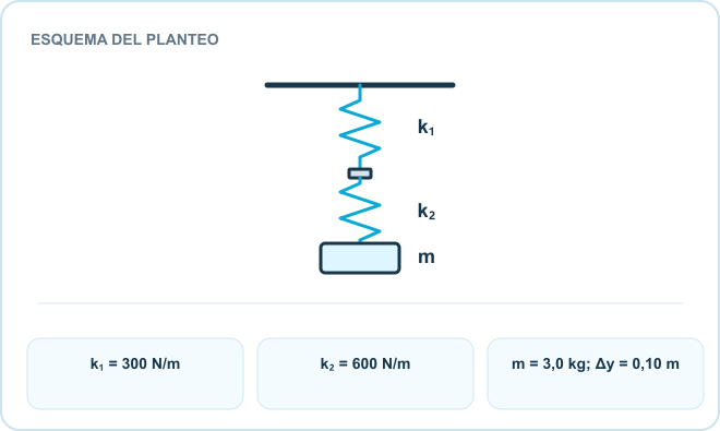 Esquema del planteo: Resorte k₁, Resorte k₂, Masa colgante. Datos: k₁ = 300 N/m; k₂ = 600 N/m; m = 3,0 kg; Δy = 0,10 m.